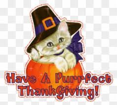 Thanksgiving Cats, Kitty Gif, Thanksgiving Cat, Turkey Cartoon, Charlie Brown Thanksgiving, Holiday Gif, Fall Clip Art, Dog Thanksgiving, Thanksgiving Pictures