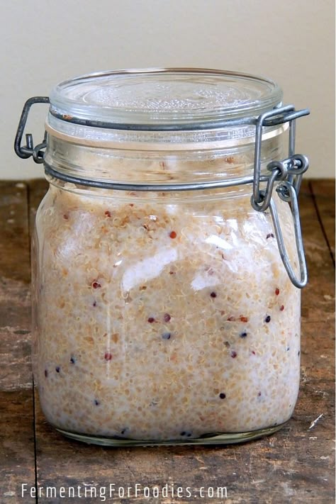 Fermented Quinoa: High in fiber, protein, and probiotics - Fermenting for Foodies Fermented Quinoa, Fermented Pumpkin, Fermented Vegetables Recipes, Ginger Bug, Fermented Pickles, Homemade Soda, Fermentation Recipes, High In Fiber, Fermented Vegetables