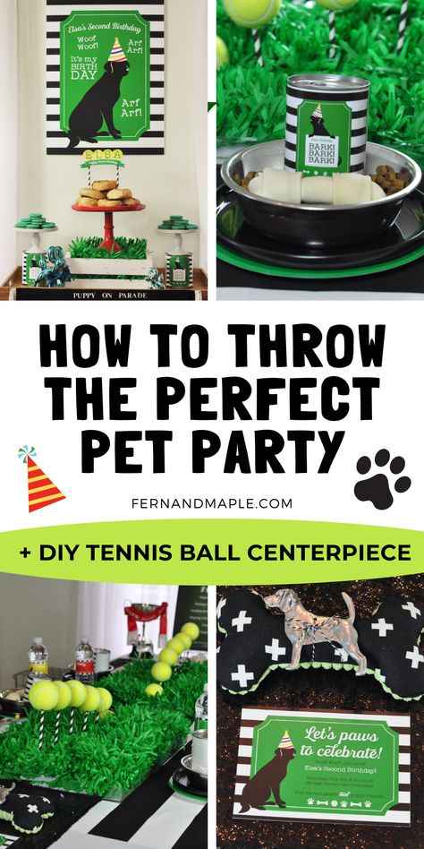 How To Throw A Dog Birthday Party, Tennis Ball Themed Dog Party, Dog Park Birthday Party, Birthday Party For A Dog, Dog Parties Ideas, Dog Party Activities For Dogs, Puppy Bowl Party Ideas, Dog Pool Party Ideas, Dog Birthday Games