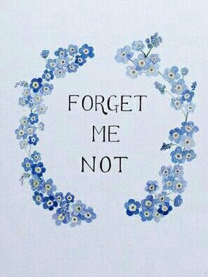 Boulet Journal, Larkspur Flower, Widget Design, Flower Quotes, I Remember When, Love My Husband, Floral Theme, Forget Me Not, Phone Themes