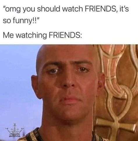 Friends Meme, Watching Friends, Funny Instagram Memes, Virgo Memes, Meme Page, Dark Memes, In Memes, So Funny, Kate Winslet