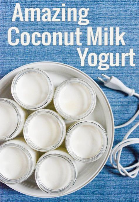 Homemade Coconut Milk Yogurt Recipe | Chocolate & Zucchini Yogurt Homemade, Homemade Coconut Milk, Coconut Milk Yogurt, Carb Cycling Diet, Diy Coconut, Yogurt Recipe, High Carb Foods, Yogurt Maker, Vegan Yogurt