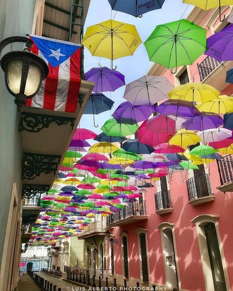 Puerto Rican Aesthetic, Environment Aesthetic, Umbrella Street, Puerto Rico Trip, Puerto Rico Vacation, Puerto Rico History, Nice Ideas, Beautiful Roads, San Juan Puerto Rico