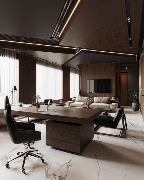 Lux Office Design, Masculine Office Aesthetic, Big Office Room Luxury, Luxury Office Interior Ceo Women, Modern Mansion Office, Fancy Office Ideas, Ceo Office Aesthetic, Big Office Ideas, Modern Ceo Office Design