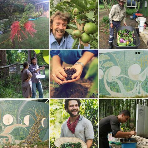 People To Follow On Instagram, Homestead Inspiration, Geoff Lawton, Edible Landscaping, Follow On Instagram, Living History, Off Grid Living, Farm Gardens, Frugal Living