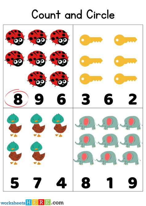 Count Objects and Circle Correct Number Activity PDF Worksheets For Kids - WorksheetsHere.com Count And Circle The Correct Number, Rote Counting, Number Activity, English Worksheets For Kids, Number Activities, The Teacher, Worksheets For Kids, For Kids, 10 Things