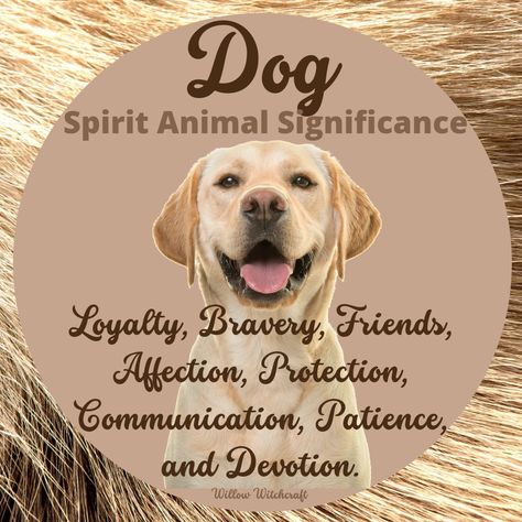 Animal Spells, Pet Witchcraft, Dog Witchcraft, Animals Witchcraft, Dog Spirit Animal, Dog Spiritual Meaning, Dog Whiskers Witchcraft, Animals Meaning Spiritual, Dog Spirit