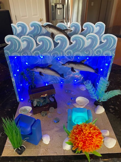 Dolphin Shoe Box Project, Dolphin Diorama Projects For Kids, Dolphin Habitat Diorama, Dolphin Diorama, Shark Diorama, Shark Habitat, Grandkid Crafts, Dolphin Project, Dolphin Habitat