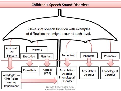 Classification of Children's Speech Sound Disorders Speech Language Pathology Grad School, Pathology Study, Speech Disorders, Speech Therapy Tools, Childhood Apraxia Of Speech, Phonological Processes, Language Disorders, Slp Resources, Speech Therapy Materials