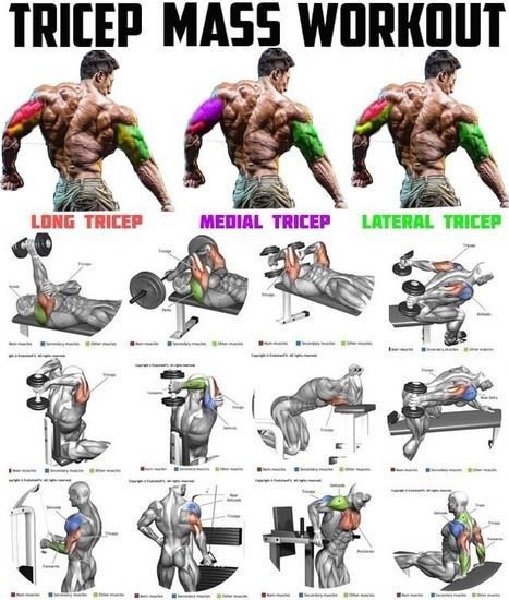 Tricep Workout Routine, Tricep Workout Gym, Big Biceps Workout, Tricep Workouts, Chest And Tricep Workout, Bicep And Tricep Workout, Tricep Workout, Bicep Workout, Workout Training Programs