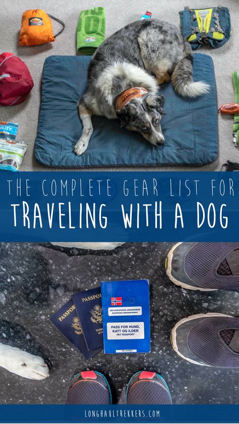 Dog Hiking Essentials, Traveling With A Service Dog, Dog Road Trip Essentials, Big Dog Accessories, Traveling With Dog, Dog Hiking Gear, Dog Camping Gear, Road Trip With Dog, Dog Travel Accessories