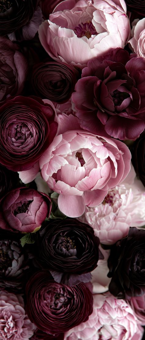 Ranunculus Wallpaper, Peony Wallpaper, Vintage Flowers Wallpaper, Floral Wallpaper Phone, Simple Iphone Wallpaper, Nothing But Flowers, Phone Wallpaper Patterns, Art Wallpaper Iphone, Flower Phone Wallpaper