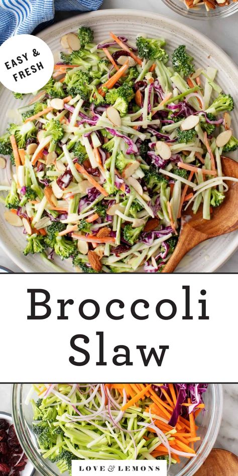 Healthy Broccoli Slaw Recipes, Broccoli Coleslaw Salad, Broccoli Slaw Dressing, Broccoli Slaw Recipe, Broccoli Cole Slaw, Firework Festival, Broccoli Slaw Salad, Broccoli Slaw Recipes, Slaw Salad