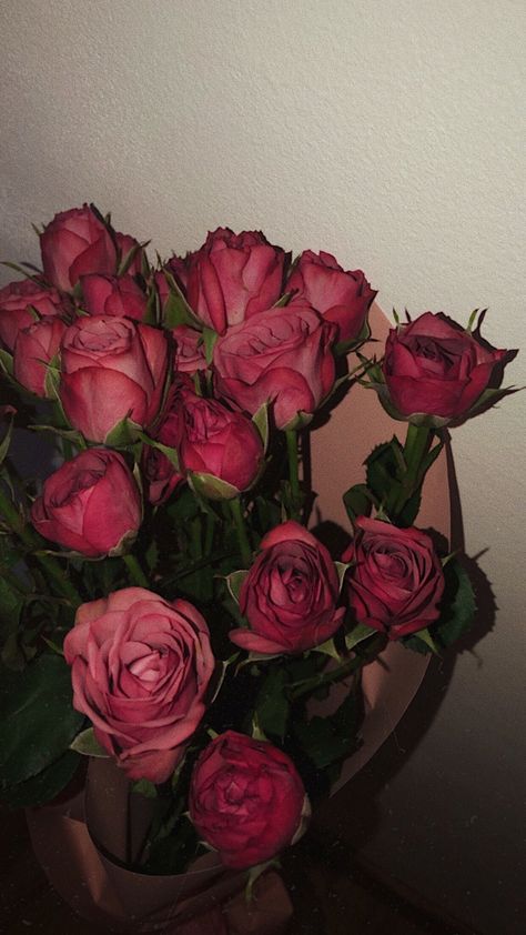 Pink Roses, Red Roses, Roses, Flowers, Wall, Red, Pink