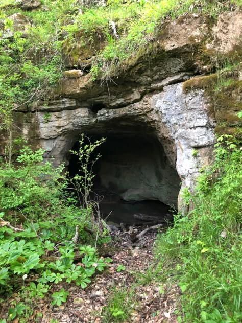 Wc Aesthetic, Fantasy Cave Entrance, Cave Opening, Forest Cave Entrance Art, Forest Cave Fantasy Art, Thunderclan Camp, Creepy Cave Aesthetic, Cave Forest Concept Art, Mountain Cave