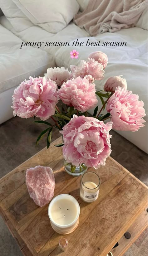 Peonies Season, Nothing But Flowers, Flower Therapy, Pink Petals, Pink Peonies, Casas De Ensueño, Love Flowers, My Flower, Pretty Flowers