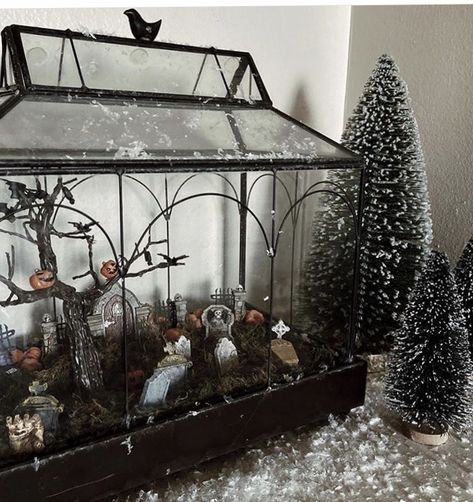 Goth Home Decor Diy, Halloween Terrarium, Spooky Home Decor, Jack O Lanterns, Haunted Dollhouse, Gothic Garden, Halloween Lanterns, Chic Halloween, Halloween Crafts Decorations