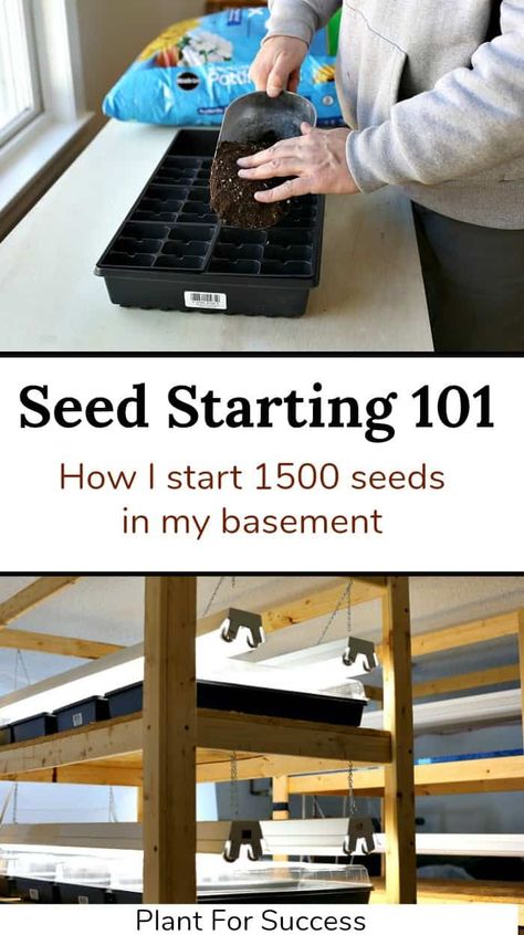 Seed starting indoors is a fun and rewarding winter gardening project.  Starting seeds indoors is a great way to save money and grow tons of vegetables and perennial flowers for your landscape.  #sowingseeds #propagatingplants #growingvegetables Seed Starting Indoors, Starting Plants From Seeds, Planting Seeds Indoors, Seedlings Indoors, Winter Vegetables Gardening, Starting Seeds, Winter Gardening, Seed Starting Mix, Florida Gardening