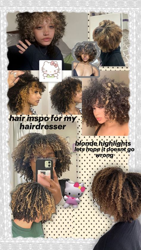 hair highlights Blonde Curly Hair Highlights, Curly Hair Highlights, Highlights Blonde, Blonde Curly Hair, 4c Hair, 4c Hairstyles, Blonde Highlights, Hair Highlights, Hair Hacks