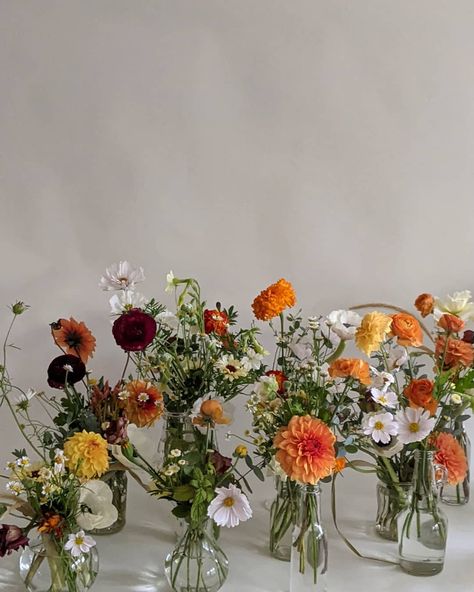 HAYLEY SHAE on Instagram: “A dreary autumn day but a wonderful palette of color for a beautiful wedding taking place this evening. Special thanks to my sweet friend…” Simple Fall Wedding Florals, Autumn Colors Wedding, Autumn Wedding Flowers Table, Fall Wild Flower Wedding, Fall Wedding Centerpieces Long Table, Wedding Color Schemes Autumn, Autumn Bud Vases, Simple Flower Table Centerpieces, Wedding Colour Schemes Autumn