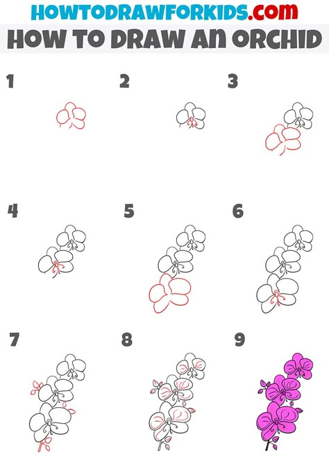 Draw Orchid Step By Step, Orkid Flower Drawing Easy, Orchid Drawing Tutorial, Orchid Drawing Simple Easy, Orkid Drawing, Orchid Doodle Simple, How To Draw An Orchid Step By Step, Orchid Flower Drawing Simple, Orchid Drawing Easy