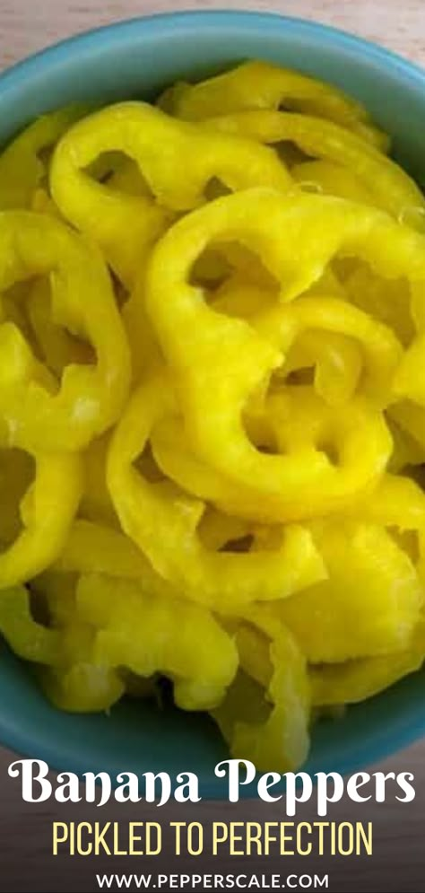 Crunchy Banana Pepper Rings, Pickled Banana Pepper Rings, Banana Pepper Pickled Eggs, Canned Banana Peppers Recipes, Pickled Whole Banana Peppers, Canning Whole Banana Peppers, Canning Banana Peppers Rings Crunchy, Canned Pickled Banana Peppers, Banana Pepper Jelly Recipe