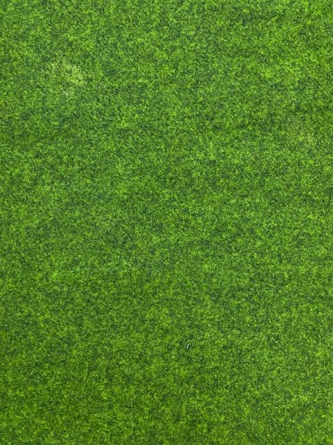 Background | Texture | Seamless | Carpet | Grass Grass Texture Photoshop, Grass Texture Seamless, Carpet Texture Seamless, Fake Grass Carpet, Grass Texture, Grass Roof, Bermuda Grass, Grass Carpet, Grass Background