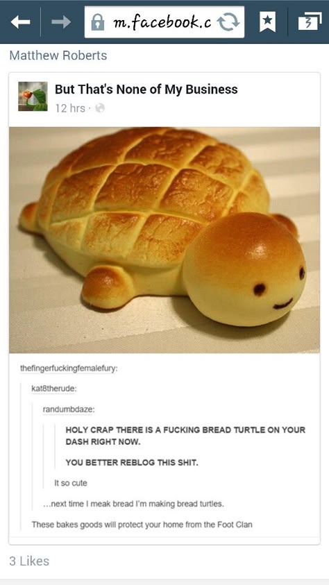 Turtle bread Turtle Bread, Day Wedding Decor, Interesting Pictures, Cute Jokes, Hair Wedding, What’s Going On, 귀여운 동물, Tumblr Funny, Cute Food