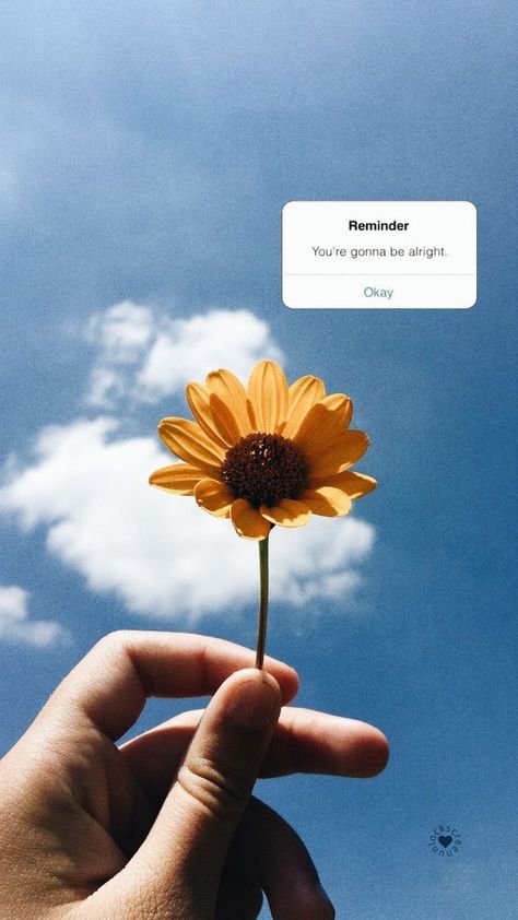 ✰pinterest ✰ @mayaresnickk Photo Snapchat, Sunflower Iphone Wallpaper, Whats Wallpaper, Wallpaper Macbook, Wallpaper Disney, Gonna Be Alright, Sunflower Wallpaper, Wallpaper Tumblr, Mood Wallpaper