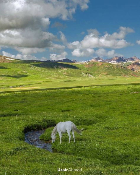 Deosai National Park clicked by Uzair Ahmad. Deosai National Park, Northern Areas Of Pakistan, Gilgit Pakistan, Skardu Valley, Beautiful Pakistan, Pakistan Travel, Gilgit Baltistan, Travel Around The World, Travel Around