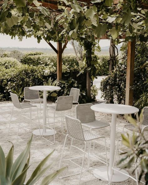 Fig Tree Restaurant & Rooms (@figtreerestaurant) • Instagram photos and videos Tree Restaurant, Photos Inspo, Hello May, Fig Tree, Fig, Wedding Styles, Shed, Restaurant, Photo And Video