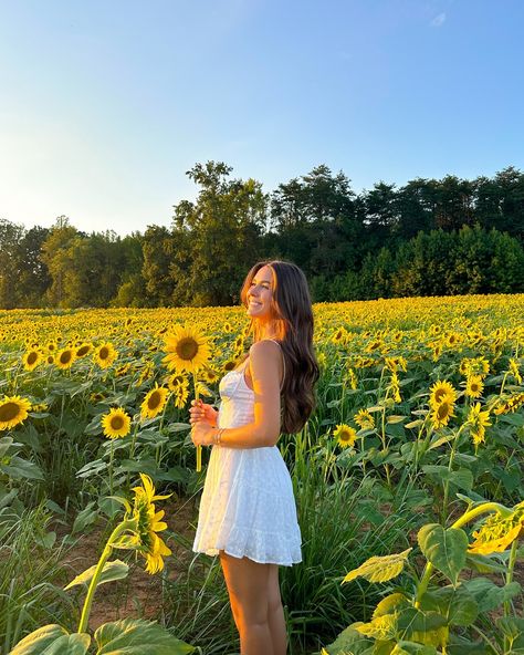 sunflower lovers🌻🌅🦋 #sunflowerfield #flowerfield #fallactivities #couplegoals #falldate Sunflower Field Instagram Pictures, Sunflower Field Outfit Ideas Fall, Flower Farm Poses, Sunflower Farm Photoshoot Outfits, Pics With Sunflowers, Pics In Flower Field, Pictures In A Sunflower Field, Flower Farm Picture Ideas, Sun Flower Fields Photoshoot