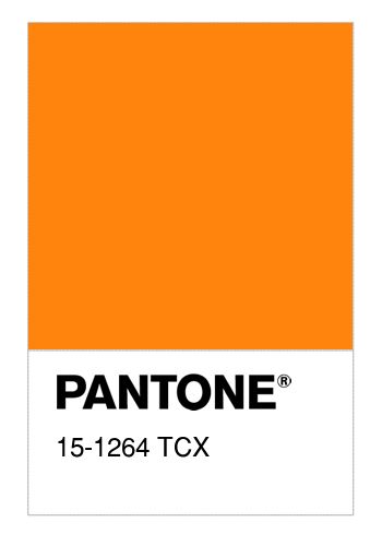 Turmeric Yellow, Colour Board, Light Summer, Natural Tones, Pantone Color, Accent Colors, Gaming Logos, Orange, ? Logo