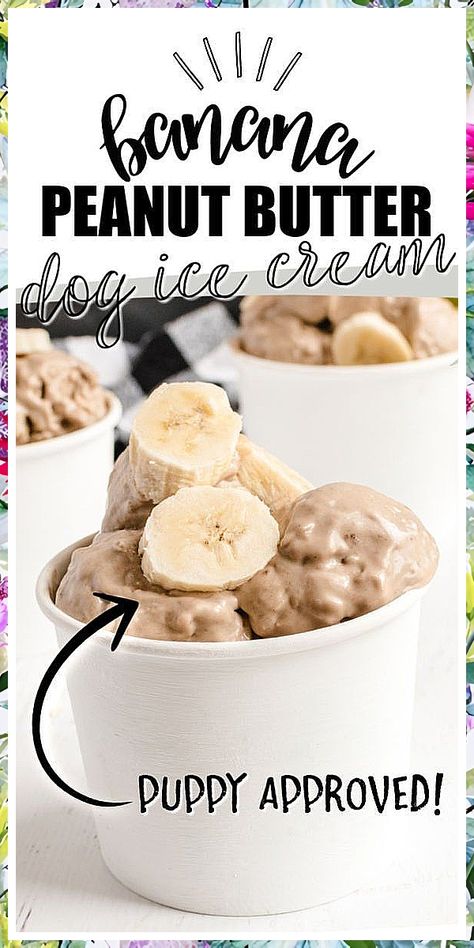 Dog Food - Great! I like them - Visit to See More NOW! Dog Ice Cream Recipe, Puppy Ice Cream, Dog Cake Recipes, Pet Treats Recipes, Easy Dog Treat Recipes, Frozen Dog Treats, Dog Biscuit Recipes, Dog Ice Cream, Easy Dog Treats