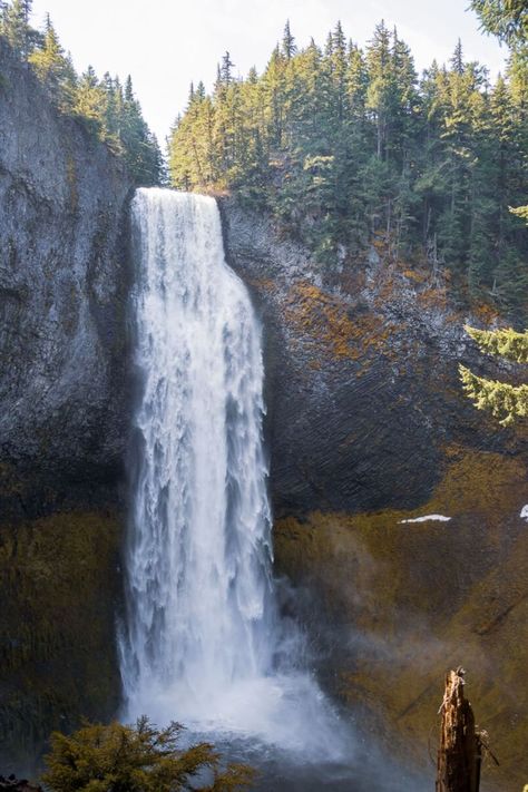 Oregon Waterfalls, My Blog, Oregon, Vision Board, Salt, Water, Travel