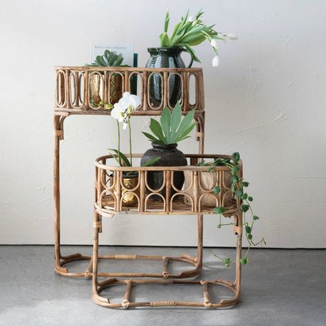 Bayou Breeze Allmar Plant Stand - Set of 2 | Wayfair Rattan Planters, Nesting Baskets, Support Pour Plante, Bamboo Shelf, Handmade Planter, Basket Planters, Beautiful Plants, Wood Vase, Bamboo Plants