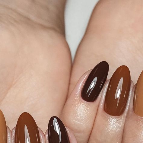 taylor | nail artist on Instagram: "👝🍂🐿️🤎 structured manicure on natural nails @dndgel #dndgelpolish coco butter cookie chips walnut brown" Brown Skittle Nails, Manicure On Natural Nails, Cookie Chips, Structured Manicure, Coco Butter, No Chip Nails, Dnd Gel Polish, Butter Cookie, Artist On Instagram