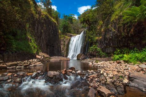 15 Best Things to Do in Burnie (Australia) - The Crazy Tourist Burnie Tasmania, Sydney Australia Travel, Tasmania Road Trip, Cruise 2023, Urban Park, In Season Produce, The Crazy, The 20th Century, Australia Travel