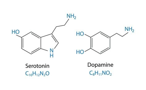 Serotonin and Dopamine chemical structure skeletal chemical formula. Vector illustration. Dopamine Chemical Structure, Chemical Structure, Chemical Formula, Human Brain, Logo Banners, Cityscape Photos, Skeletal, Background Banner, Text Effects