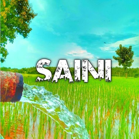 #viral Saini Sahab Name Logo, Saini Sahab Wallpaper, Emoji Flower, Disney Letters, Line Art Images, Salon Logo Design, Free Lightroom Presets Portraits, Wallpaper Photo Gallery, Blur Background Photography