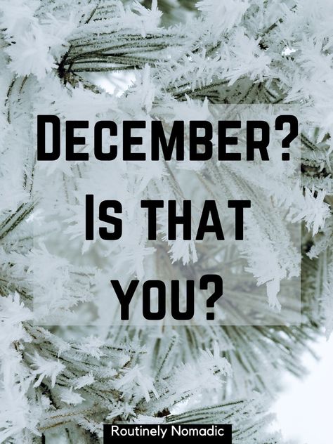 Funny December Quotes: 95 Funny December Sayings for a Festive Month | Routinely Nomadic 31 December Quote New Years, December Letter Board, December Sayings, Happy December Quotes, December Captions, Photo Dump Captions, December Quotes, Happy December, Hello December