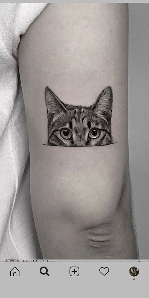 awesome cat tattoo ideas © tattoo artist ✿ Salmontattoo Austin ✧ @pettattoo.salmon ✿ ♡🧿♡🧿♡ #cattattoos #cooltattoos #inked #tattoolvoe #tattooinspiration #cats #besttattooideas Cat Eye Tattoos, Cat Lover Tattoo, Cat Face Tattoos, Tatuaje Studio Ghibli, Cat Portrait Tattoos, Cat Tattoo Ideas, Tiger Tattoo Sleeve, Cute Animal Tattoos, See Tattoo