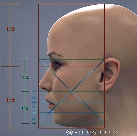 ArtStation - Face measurements, Vladimir Minguillo 3d Drawing Techniques, Human Anatomy Reference, 3d Monster, Face Proportions, Head Anatomy, Human Body Drawing, Sculpting Tutorials, Face Anatomy, Anatomy Sculpture