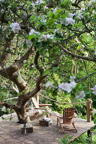 Summer homes and gardens: a grown-up treehouse in Bristol | Life and style | The Guardian Bristol Houses, Tree Deck, Era Victoria, Magic Garden, House Deck, Have Inspiration, Outdoor Deck, The Deck, Apple Tree