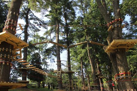 11. Treetop Adventures at Elmwood Park Zoo – 1661 Harding Boulevard, Norristown, PA 19401 Knoebels Amusement Park, Pennsylvania Travel, Adventure Bucket List, Adventure Park, Weekend Trips, Vacation Destinations, Outdoor Travel, Random Things, Day Trips