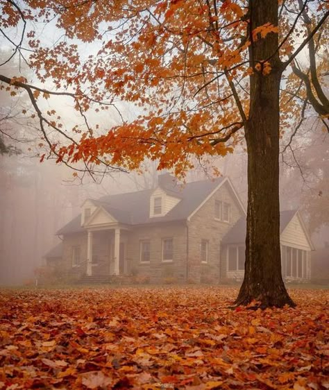 Vintage Fall Photos, Halloween Aethstetic, Witch Halloween Aesthetic, Fall Witch Aesthetic, Witchy Fall Aesthetic, Autumn Vintage Aesthetic, Autumn Witch Aesthetic, Fall Vintage Aesthetic, Vintage Autumn Aesthetic