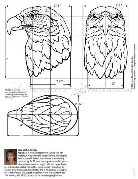 Chainsaw Carving Patterns, Bird Carving Patterns, Whittling Patterns, Unique Wood Carving, Carving Templates, Animal Carving, Bird Images, Hand Carved Walking Sticks, Bourbon Bar