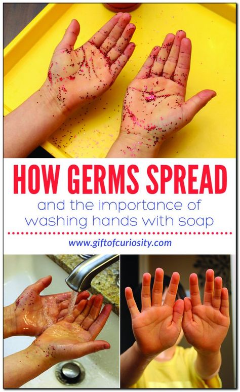 Human Body Activity: How Germs Spread - Gift of Curiosity Germs Science Experiment, My Body Science Preschool, How Germs Spread Activity, Germs Math Activities For Preschool, Preschool Healthy Bodies, Hand Washing Experiment, Personal Care Activities For Preschool, Pre K Germs Lesson, Germ Science Experiment Preschool