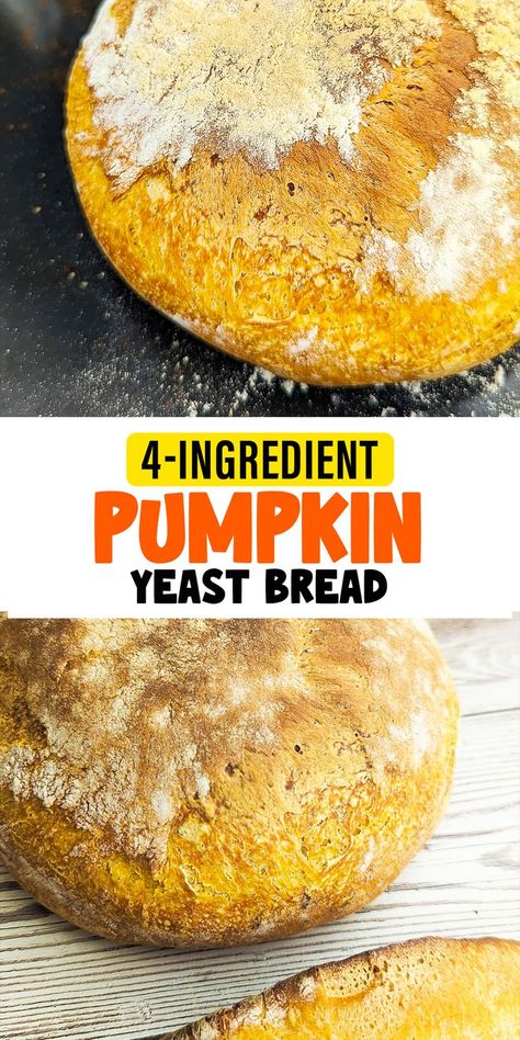 Pumpkin Yeast Bread Recipe, Rosemary Parmesan Bread, Pumpkin Yeast Bread, Family Breakfast Recipes, Parmesan Bread, Chewy Bread, Sweet Pumpkin, Yeast Bread, Pumpkin Flavor