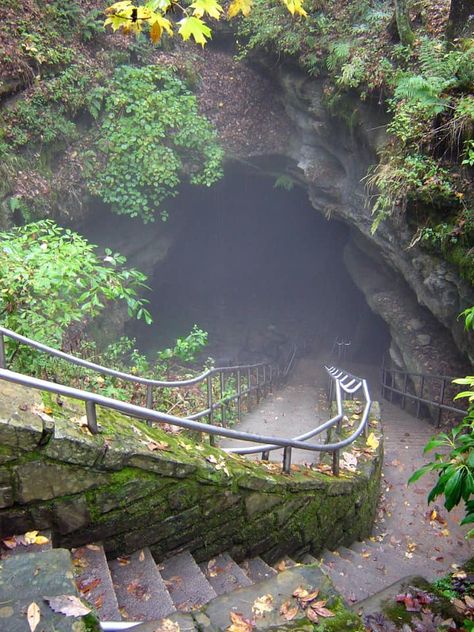 This trail even extends below ground, too, making it an all-around all-star adventure at Kentucky's acclaimed national park. Missouri Camping, Mammoth Cave National Park, Cave System, Mammoth Cave, Deep River, Hiking National Parks, Us Road Trip, Oregon Travel, National Parks Trip